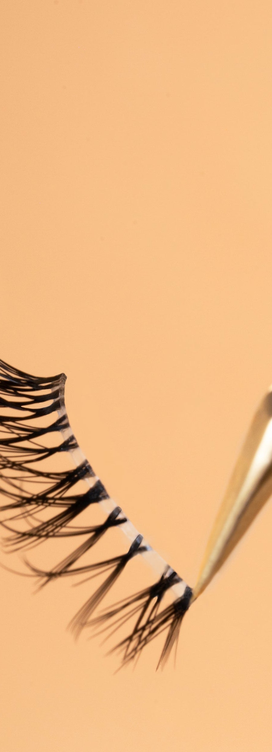 Summer Lashes Collection - Youmi Beauty