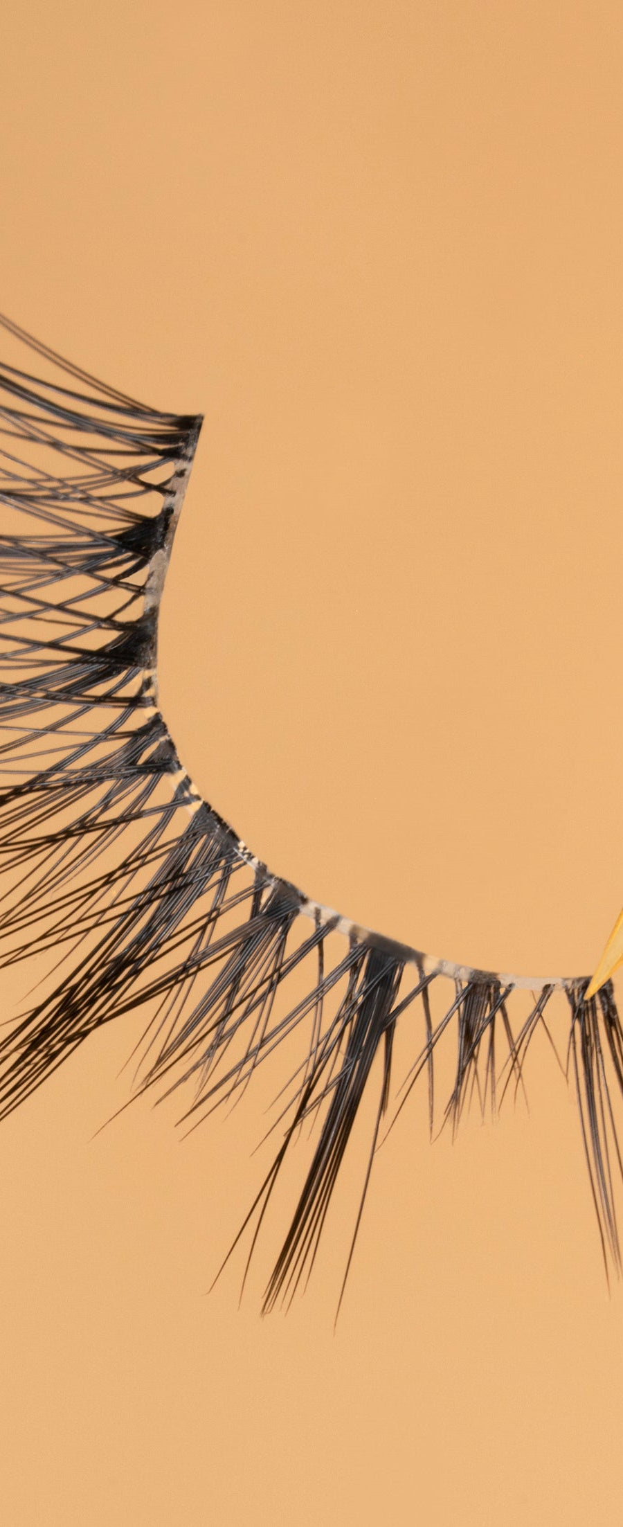 Summer Lashes Collection - Youmi Beauty