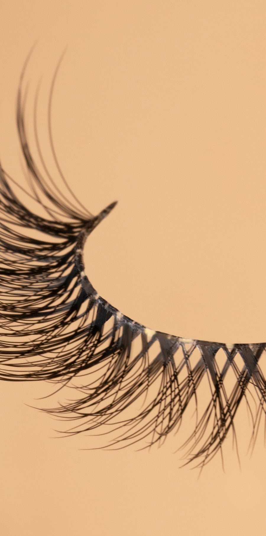 Summer Lashes Collection - Youmi Beauty