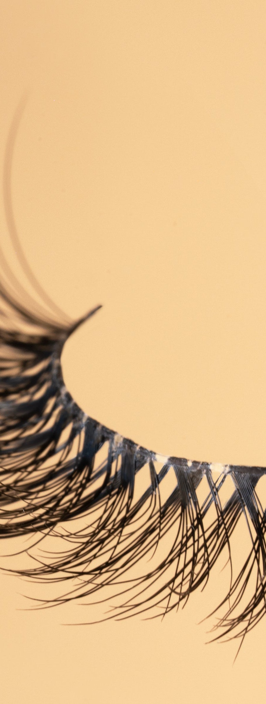 Summer Lashes Collection - Youmi Beauty