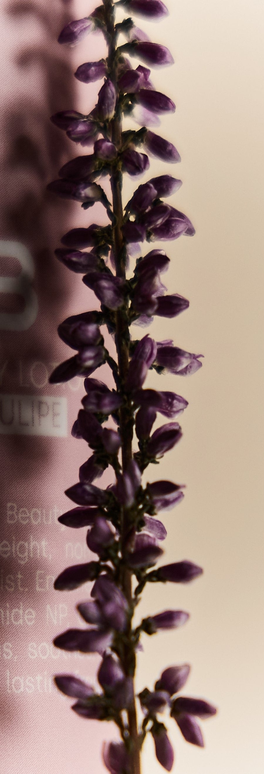 Herbal Hydration Body Lotion